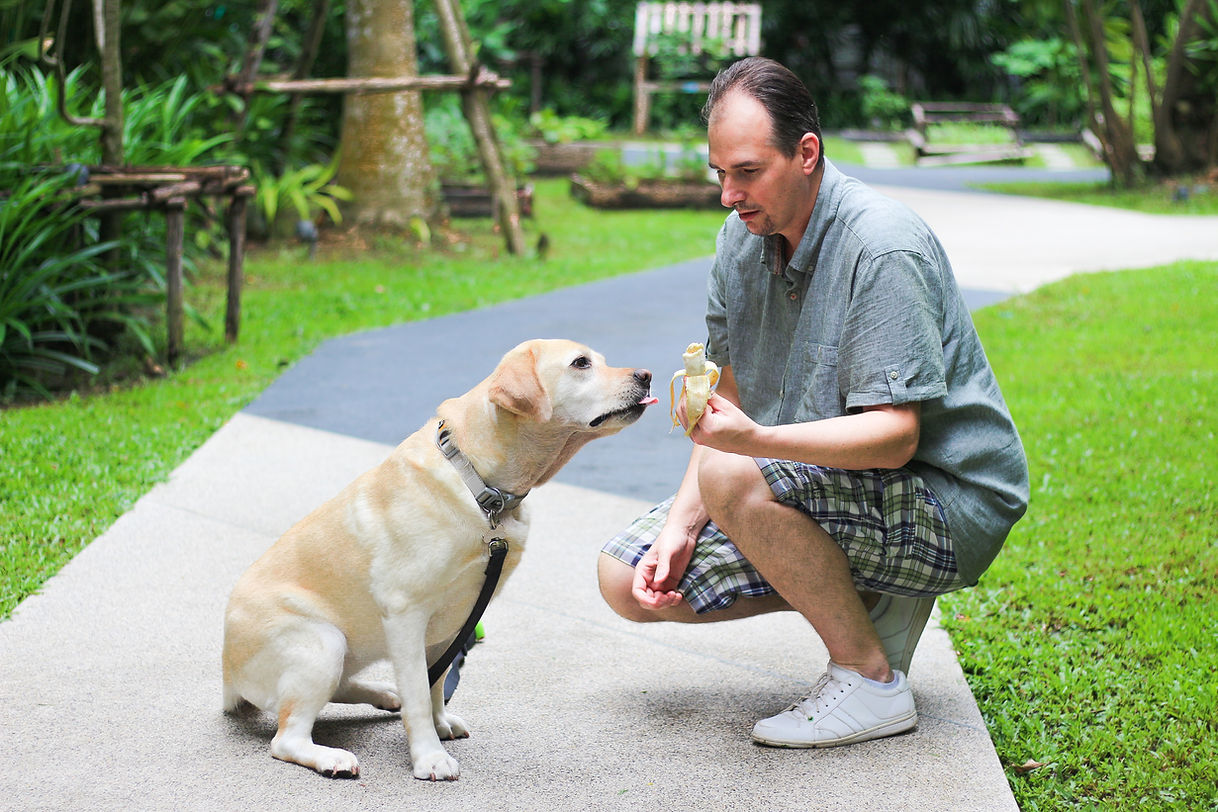 lucky and lars in HOMA's community garden