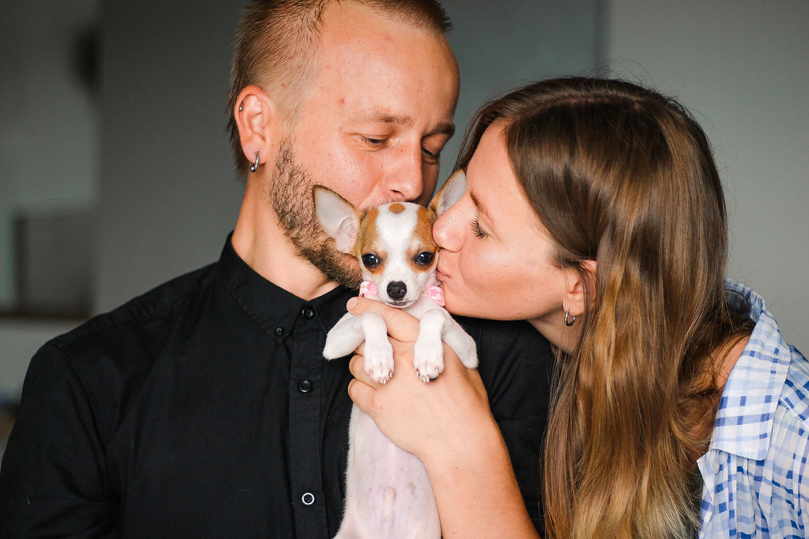 Anton, Anna, and TomYum - pets of homa