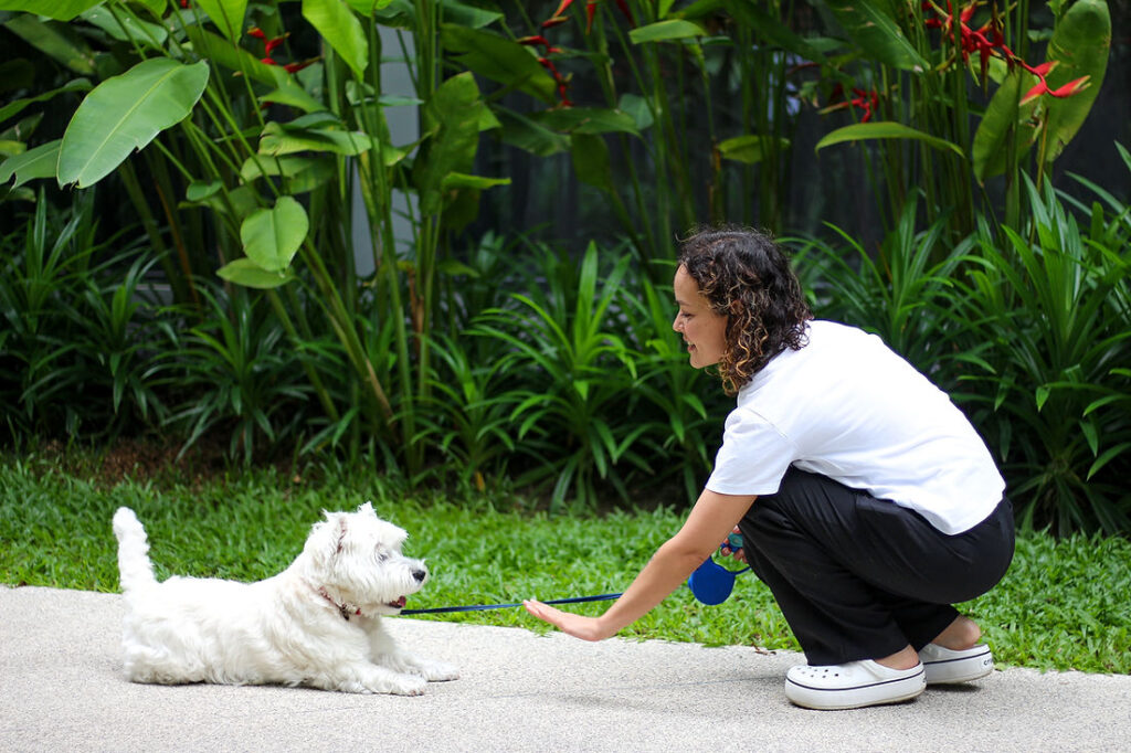 Yulia and sandra - pets of homa