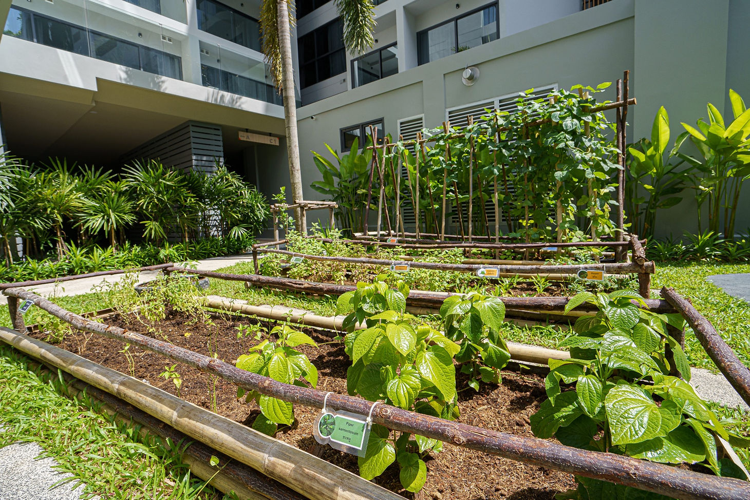 Community Garden at HOMA Phuket Town