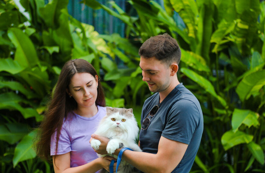 Pets of HOMA - Meet Sam