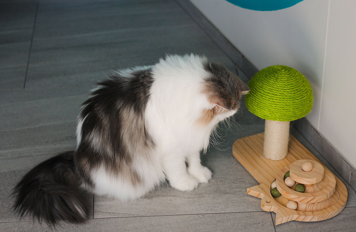 sam with his toy